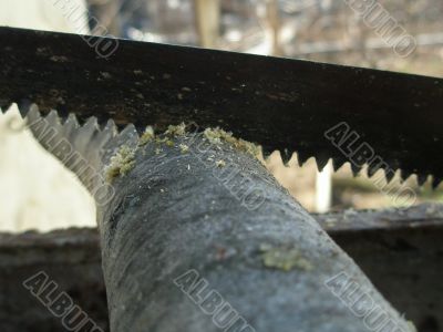 handsaw