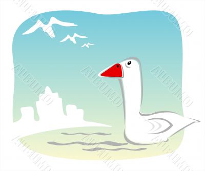 Birds of passage