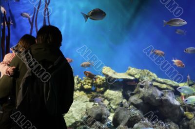 young father with his child looking fishes at aquarium