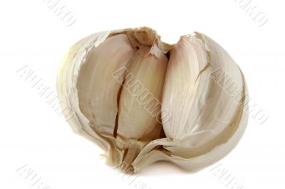 Fresh Garlic