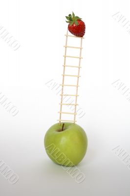 Health ladder