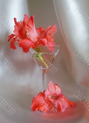 gladiolus in martini glass