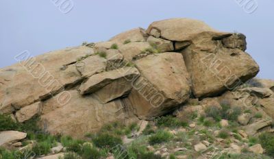 Rock Face 6346