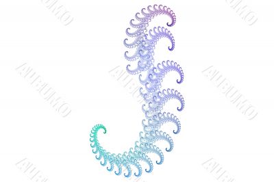 seahorse spirals