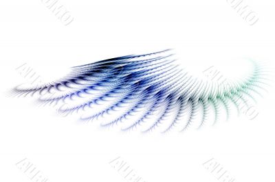 fish wings and feather abstract