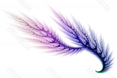 Gentle fern leaf pattern