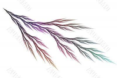 tree branch