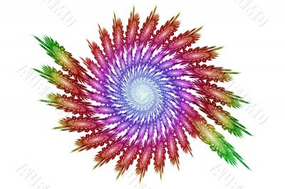 Spirals in a  spiral