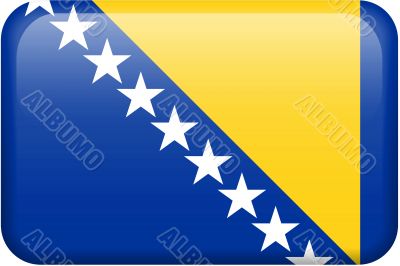 Bosnian Flag Button