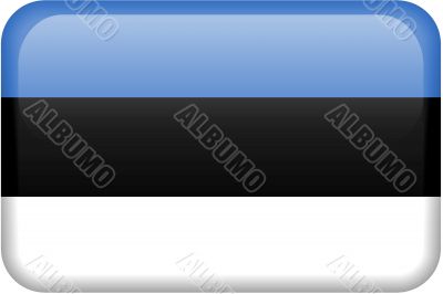 Estonian Flag Button