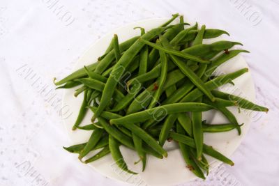 Harvest -green beans
