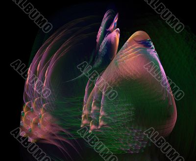 Many-colored pigeon