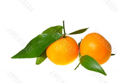two tangerines