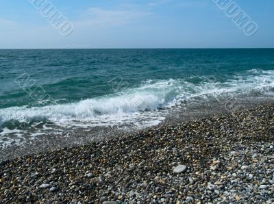 Seabeach