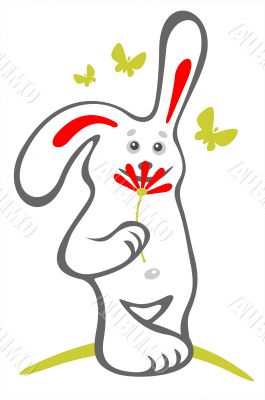 bunny and flower