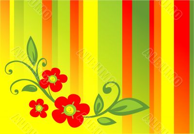 flower striped background