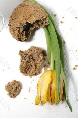Tulip and bread