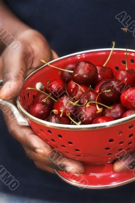 cherries in colander