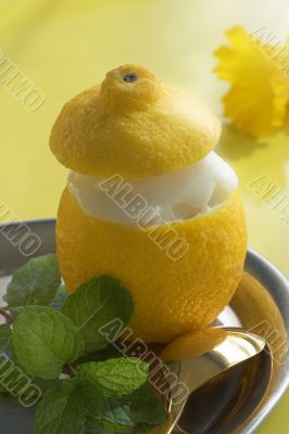 lemon sorbet