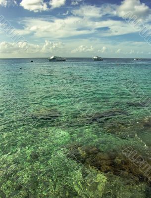 Clear Water of Caribbean Sea