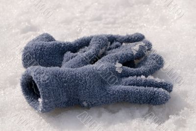 Winter Gloves