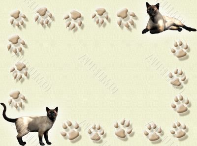 Cat frame