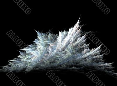 The ice crystals