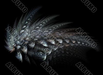 Bird feather