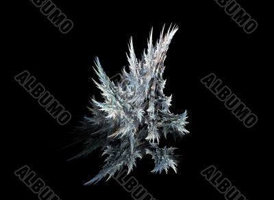 Icy fir tree