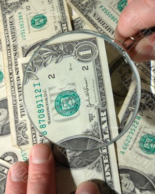 Looking At The Money