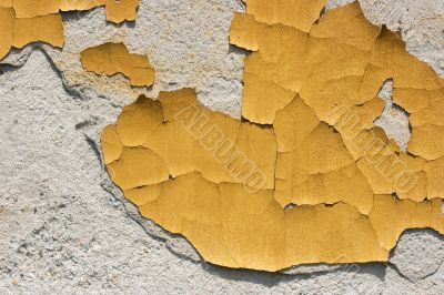 Wall