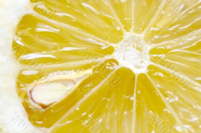 Macro close-up of fresh cut lemon