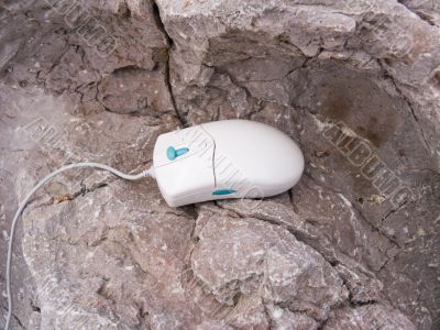 computer mouse