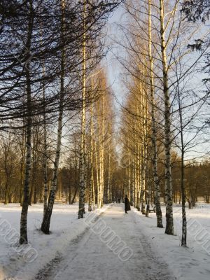 Winter way