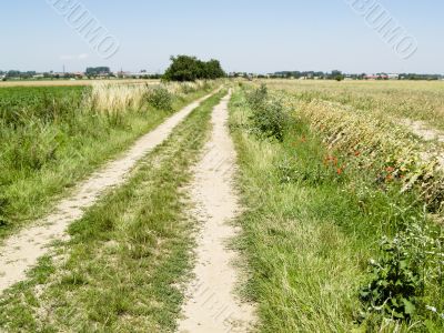 Country road