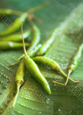 green chilies