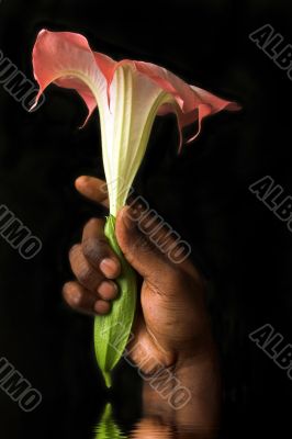 hand with flower