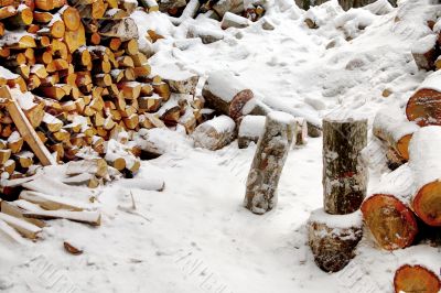 Stack of the firewood