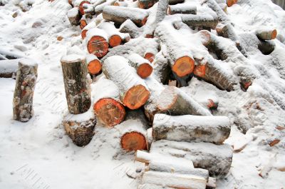 Stack of the firewood