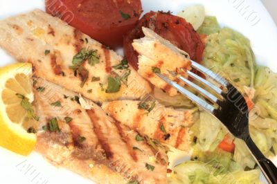 Grilled white fish and tomato with fresh salad on plate. Isolate