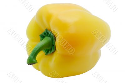 Yellow paprika