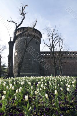 Milan - Castello Sforzesco