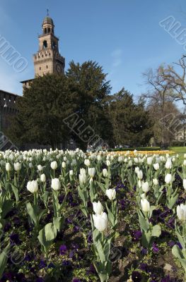 Milan - Castello Sforzesco