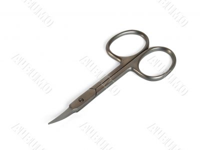 Nail Scissors