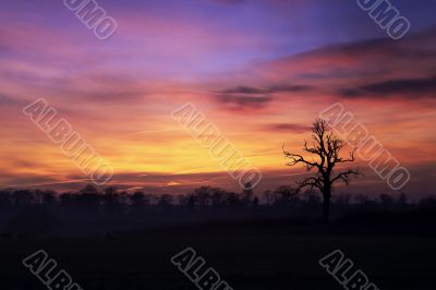 Morning Sky