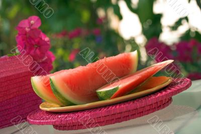 watermelon picnic