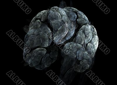 Brain