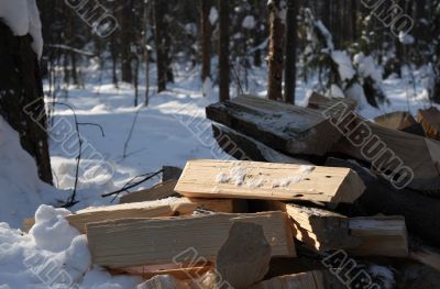 Firewood on snow.