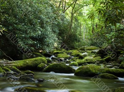 Peaceful river flowing over rocks