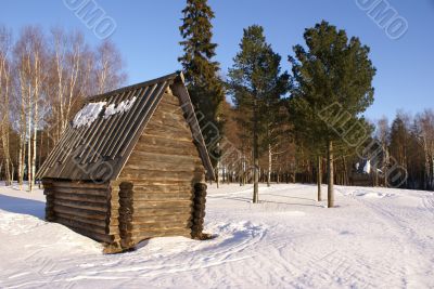 small wooden house in forest